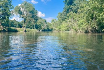 Chattooga River On A Nice Day