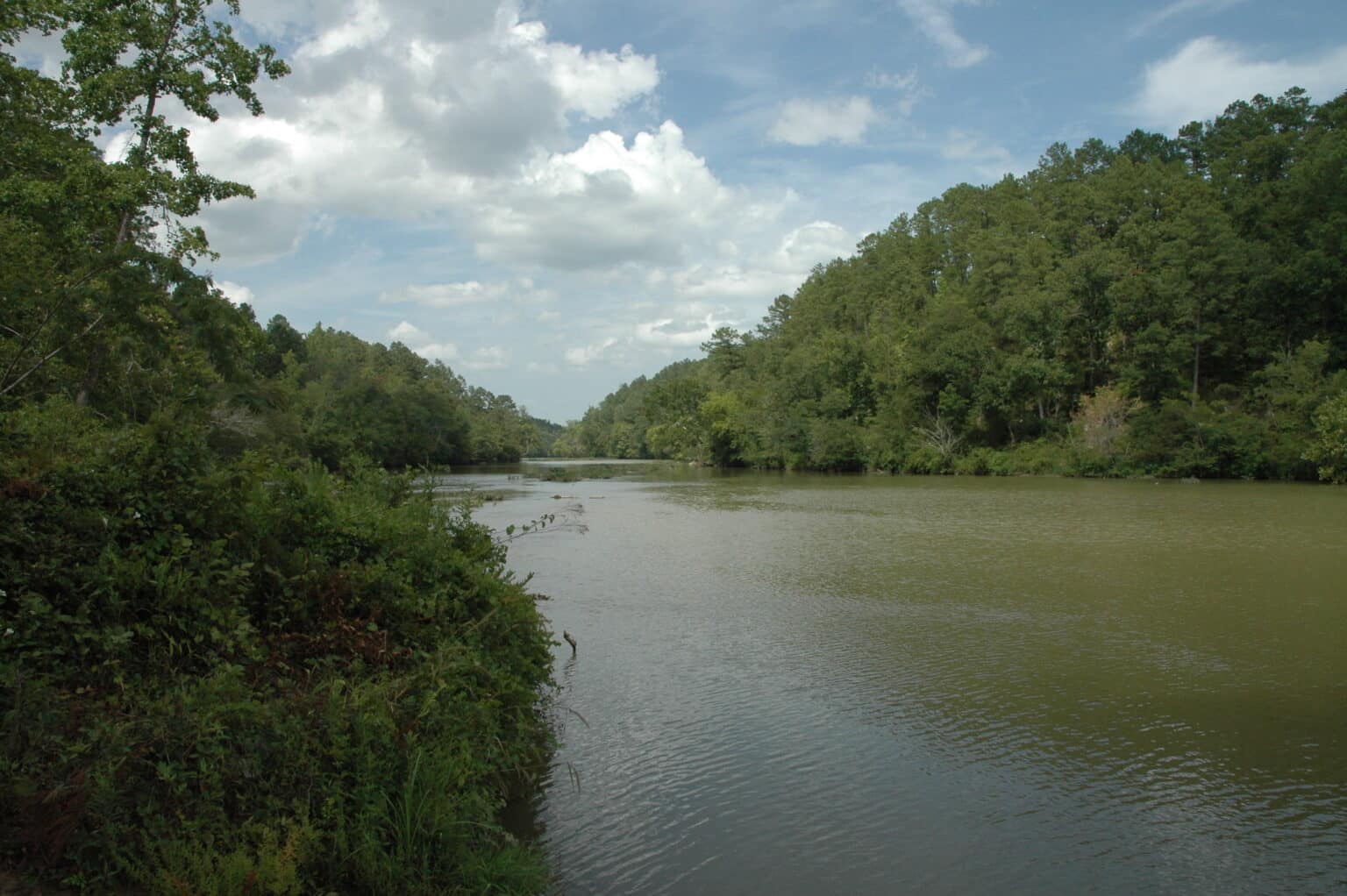 Wilderness Wanderings: A Long Paddle on the Cahaba Blueway - Alabama ...