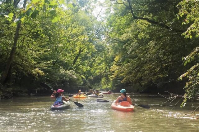 A Group Of People Kayaking Down A River