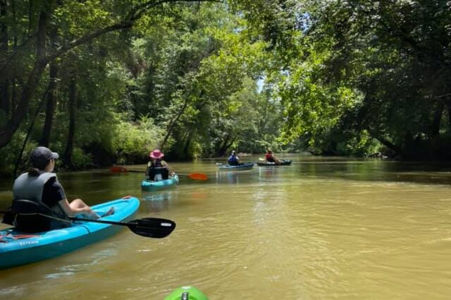Kayakers On A River Flowing Through A Forest