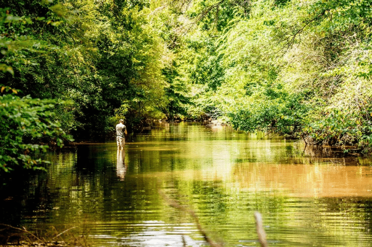 Family Paddle Adventure on Big Canoe Creek - Alabama Scenic River Trail