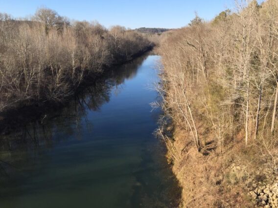 Sipsey Fork River Photo From Riverside Fly Shop