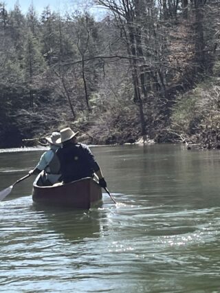 A Man In Paddling A Canoe The Sipsey Fork From Robert Shepard.