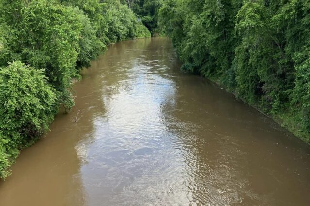 A River Running Through A Forest