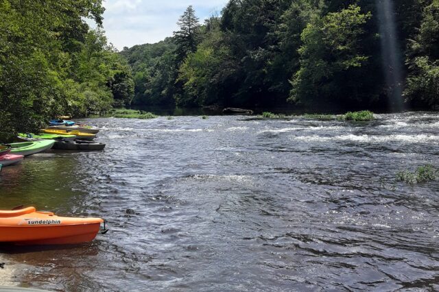 Kayaks Parked Along The Side Of A River