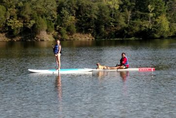 Kids Paddle Boarding In A River