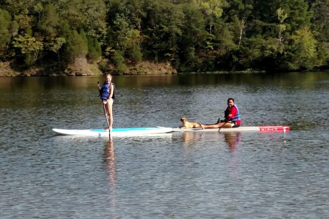 Kids Paddle Boarding In A River