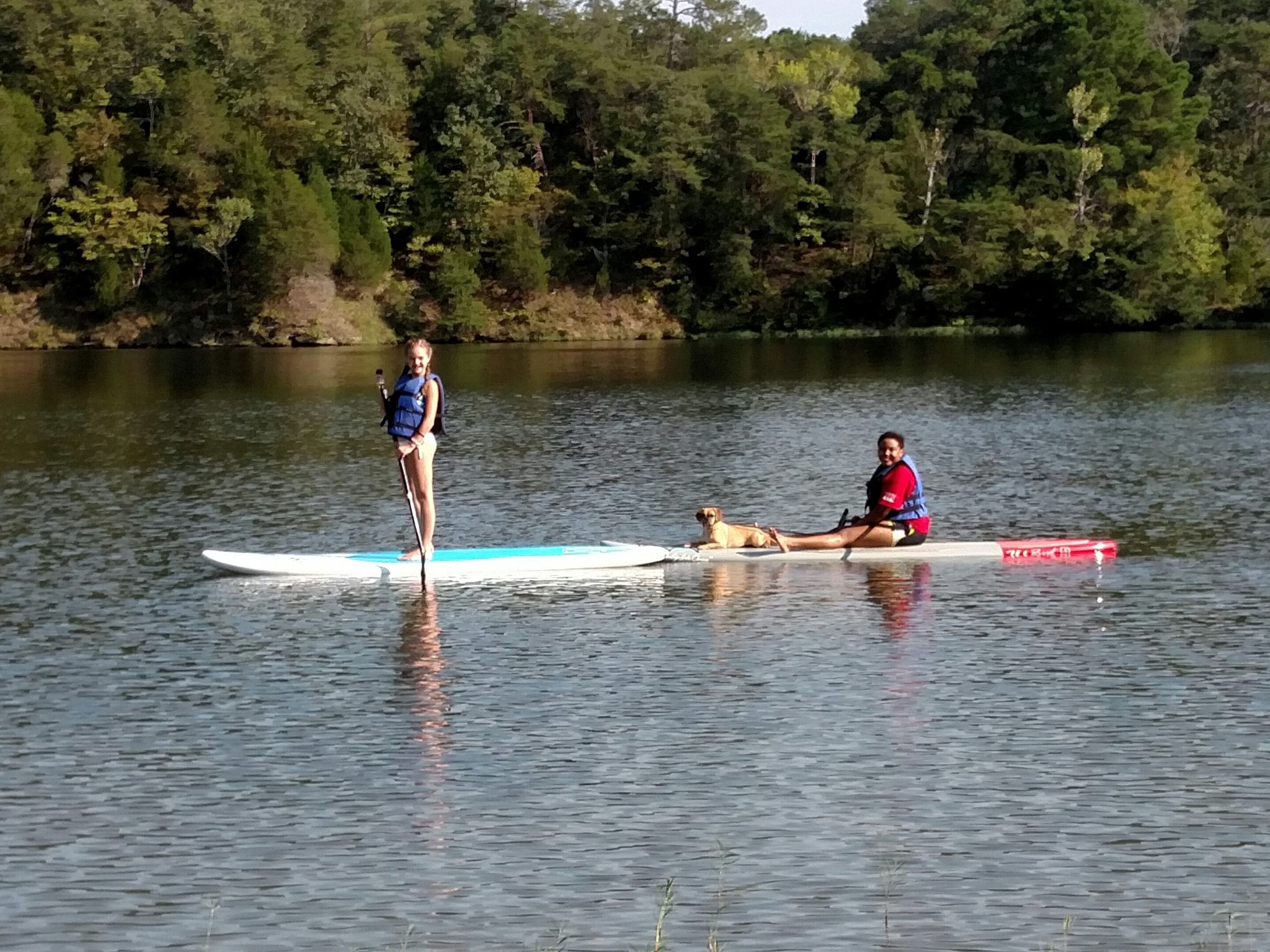 Kids paddle boarding in a river