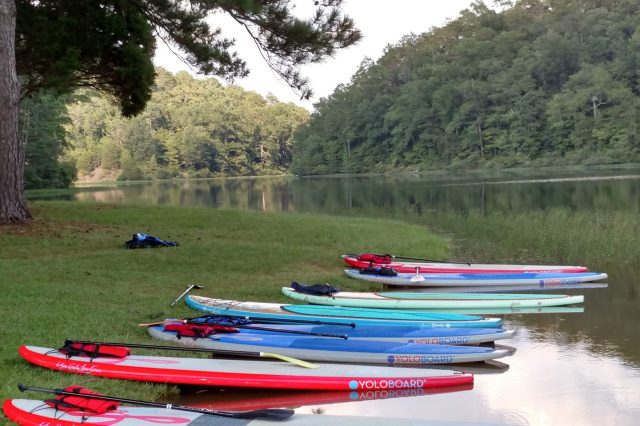 Paddleboards Along The Shore Of A River