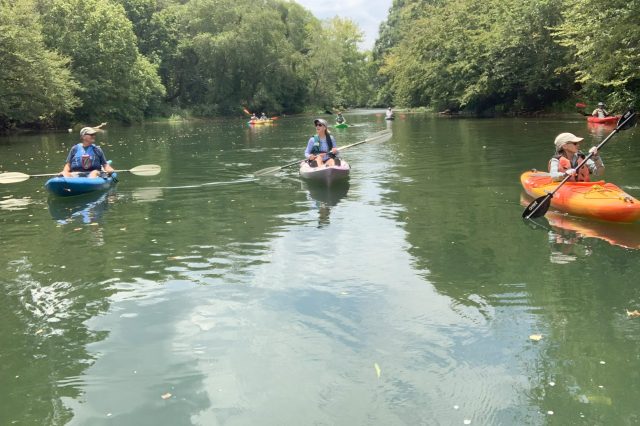 A Group Of Kayakers On A River